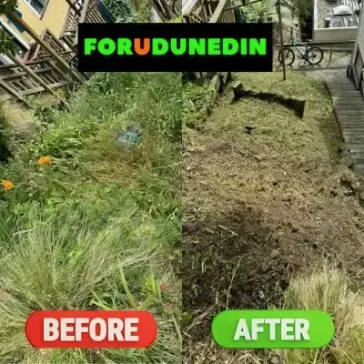 Before & After: Overgrown grass and weeds cleared from a sloped section, leaving a tidy yard. Dunedin Central, Dunedin.