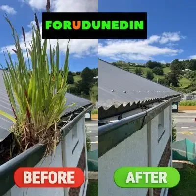Before & After: Gutter cleaning showing overgrown grass removed, Kaikorai Valley, Dunedin.