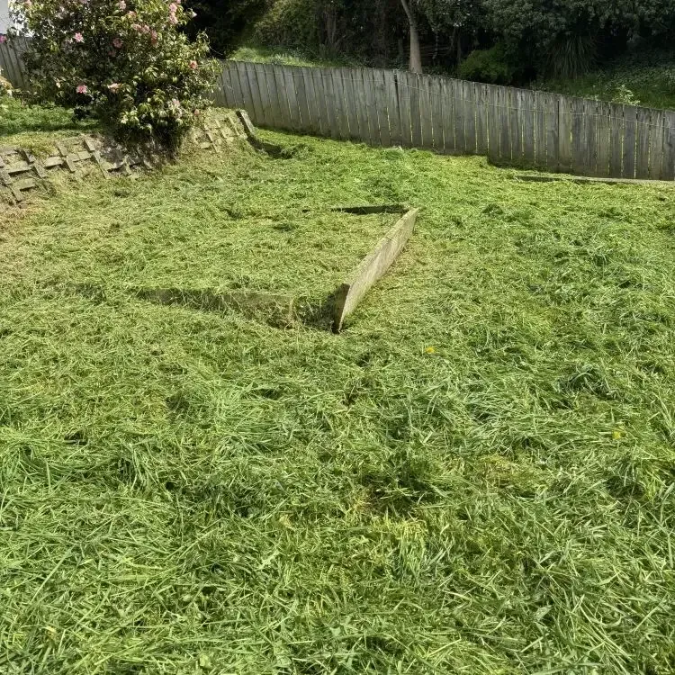 After: Overgrown lawn cutting service in Pinehill.