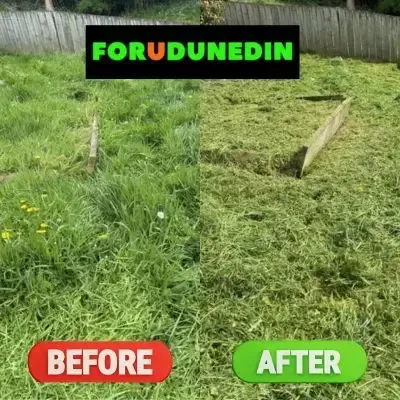 Before & After: Lawn cutting services on a sloped section in Pinehill, Dunedin.