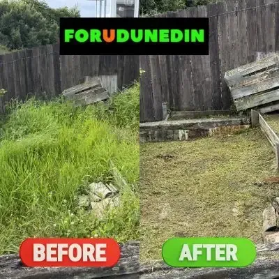 Before & After: Overgrown lawn mowing job in Kaikorai Valley, Dunedin.