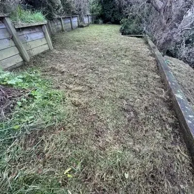 After: Large area of an overgrown back lawn mowed to perfection.