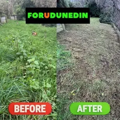 Before & After: Overgrown lawn mowing job for a 60-metre-square residential backyard in Roslyn, Dunedin.