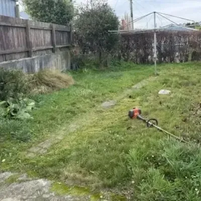 Before: Lawn mowing and cutting services for a 50 square metre residential backyard in St Clair, Dunedin.