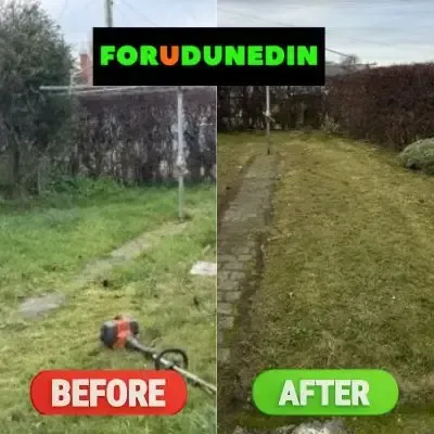 Before & After: Lawn mowing and weed eating for a residential property in St. Clair, Dunedin. Clean lines and edges.