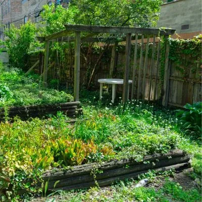 Overgrown residential section in Dunedin illustrating why a full clearing reset prevents long-term deterioration.