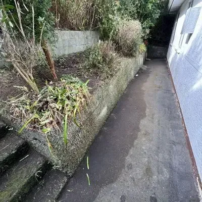 After: Overgrown vegetation clearance down a path beside a home in St. Clair.