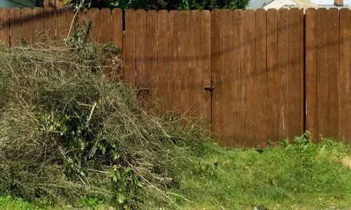 Pile of trimmed branches and shrubs collected during a section tidy, completed in Concord, Dunedin.