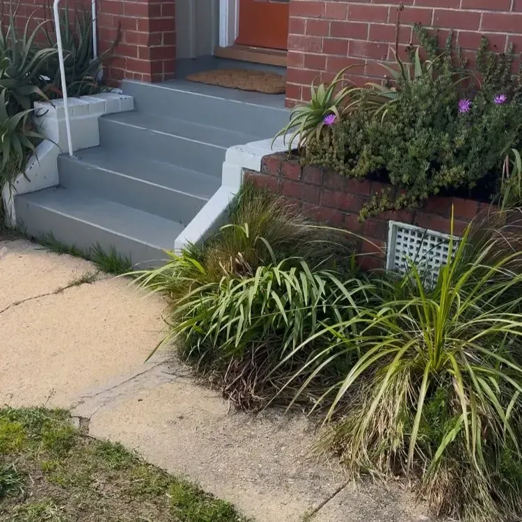 Before: Plant removal and garden clean-up in Wakari, Dunedin