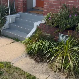 Before: Plant removal and garden clean-up in Wakari, Dunedin