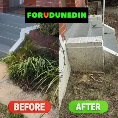 Befire & After: Plant removal and garden clean-up, Wakari, Dunedin.