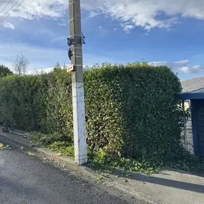 Before: Power hedge trimming services for a 50 metre long and 3 metre high holy hedge job in St Clair, Dunedin.