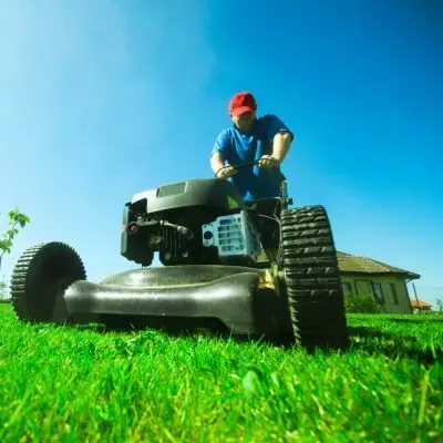 Professional lawn mowing is carried out at the correct cutting height using a controlled technique in Dunedin City.