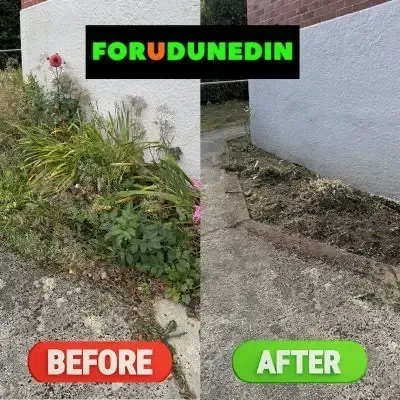 Before & After: Garden bed tidying and weed pulling in North Dunedin, Dunedin