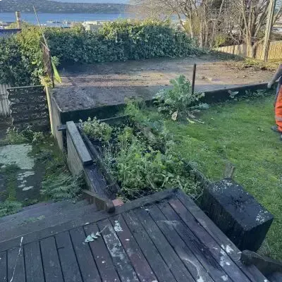 Before: Backyard tidy up of overgrown grass and garden bed in Rosyln.
