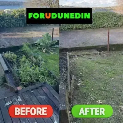 Before & After: Vegetable garden clean-up and maintenance in Roslyn, Dunedin.