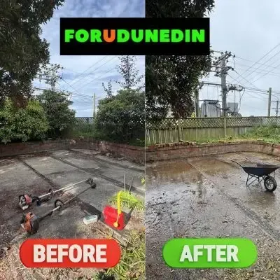 Before & After: Multiple small trees being removed from a backyard in St. Clair, Dunedin.