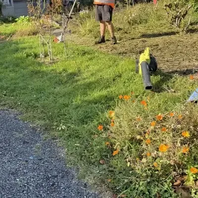 Before: Weed eating and lawn mowing service for a beautifully finished lawn in St Clair, Dunedin.