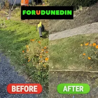 Before & After: Lawn care and property tidy-up in St. Clair, Dunedin.