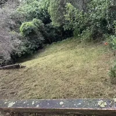 After: Lawn mowing and backyard tidy up in North Dunedin.