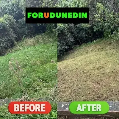Before & After: Lawn mowing service on a sloped property in North Dunedin, Dunedin.
