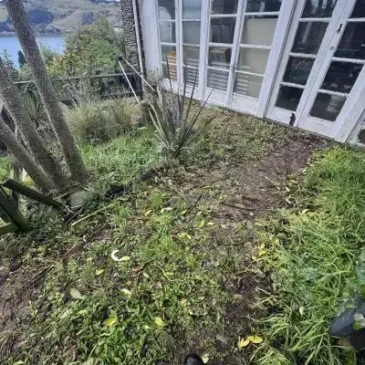 Before: Property tidy up services turning overgrown weeds on a paved driveway into a clear and clean look.