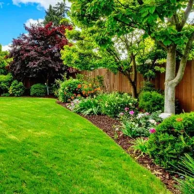 A residential lawn influenced by local climate and seasonal conditions in Dunedin.