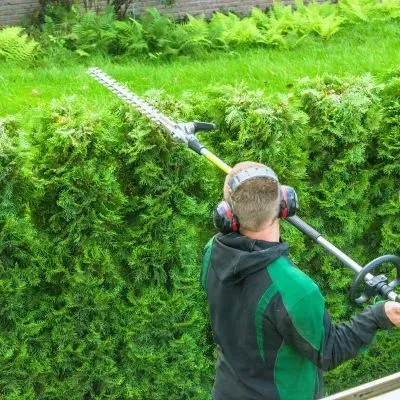 Contractor using long-reach trimmer on roadside hedge in Taieri, Dunedin, to meet council clearance rules.