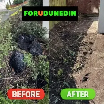 Before & After: Rubbish removal services for a student flat in North Dunedin removing bags and greenwaste.