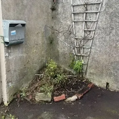 After: Small area of an overgrown corner weeded and tidied up in North Dunedin.
