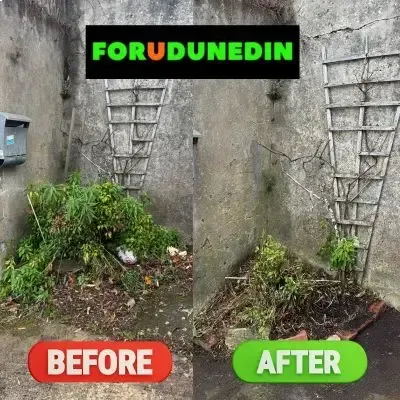Before & After: Garden tidy-up of an area behind a clients residential home in North Dunedin, Dunedin.
