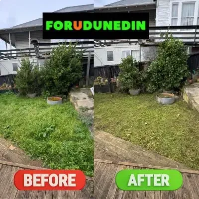 Before & After: Backyard section tidying, including turf mowing and bush trimming in St. Clair, Dunedin.