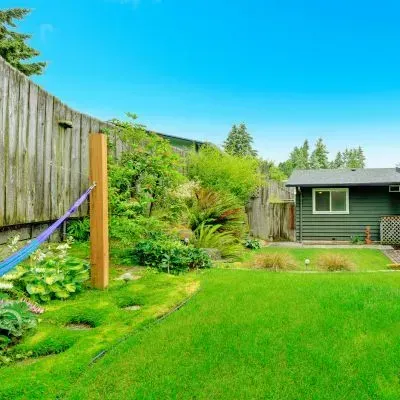 Reclaimed backyard boundary in Dunedin showing improved light and airflow after controlled section clearing.