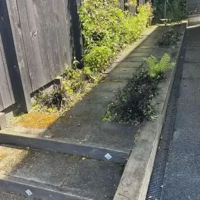 After: Garden bed tidy up, removing dead plants and other vegetation, resulting in a beautiful garden bed in North Dunedin.