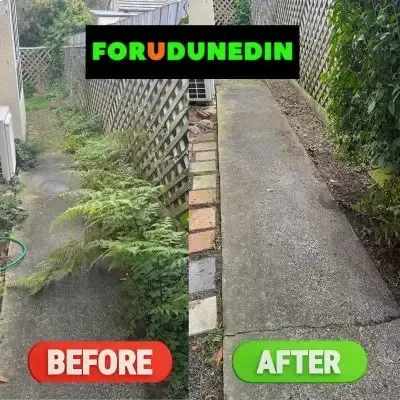 Before & After: Overgrown weeds and plant removal services from a residential path in Roslyn, Dunedin.