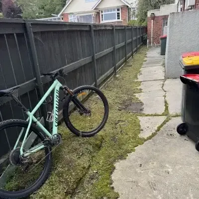 After: Side of the house garden clean up and rubbish removal of unused household waste, St Clair.