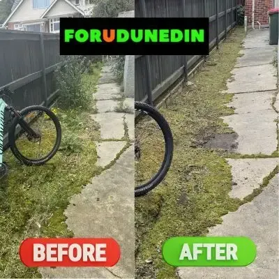 Before & After: Plant removal and general garden maintenance in St. Clair, Dunedin.