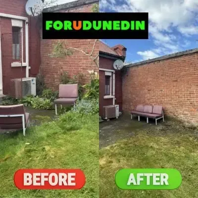 Before & After: Overgrown green waste removal and backyard clean-up in Opoho, Dunedin.
