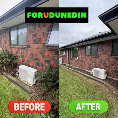 Before & After: Plant removal and garden tidy-up, North Dunedin, Dunedin.
