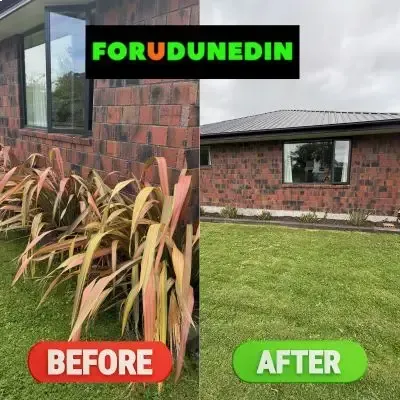 Befire & After: Flax removal and garden tidy-up, Roslyn, Dunedin.