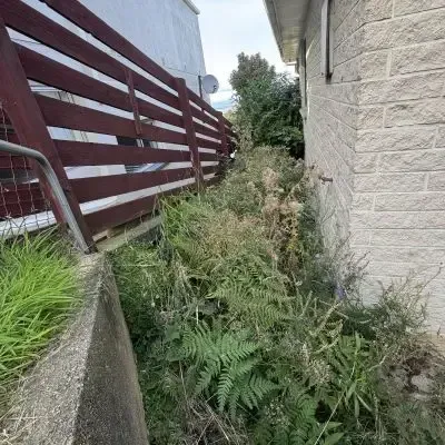 Before: Side of a house overgrown with green waste clearance, removal of weeds and vegetation. St Clair, Dunedin.