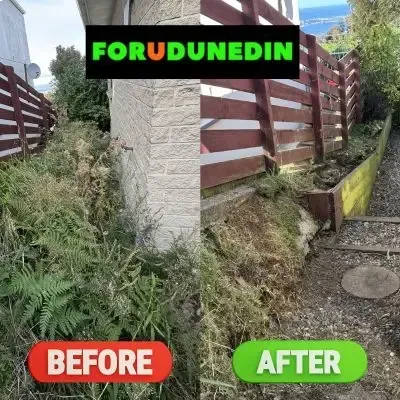 Before & After: Pathway refresh, removal of overgrown green waste obstructing the side of the house. St. Clair, Dunedin.