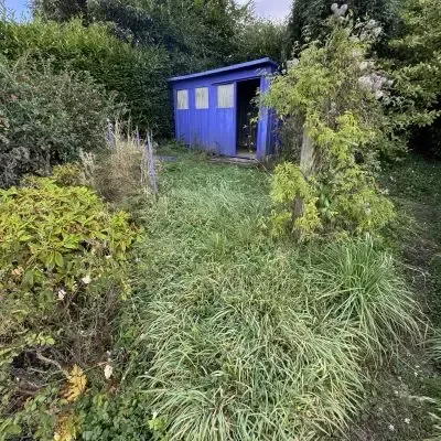 Before: Clearing of overgrown grass, bushes, hedges, trees. Resulting in a tidy finish, North Dunedin, Dunedin.