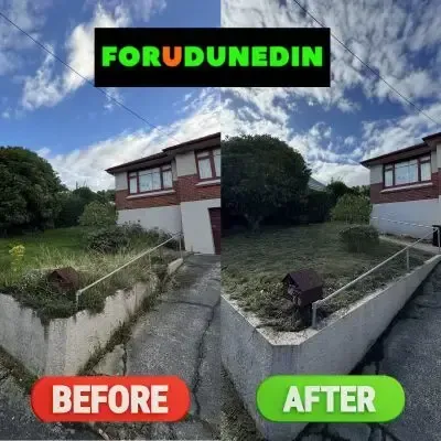 Before & After: Front property tidy-up, including lawn mowing, bush trimming for a great result in St. Clair, Dunedin.