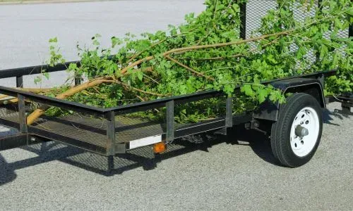 Small tree removal from a residential home in Tomahawk, Dunedin. The tree has been placed on a trailer, for disposal.