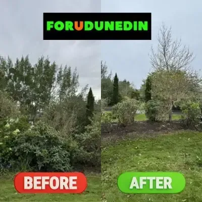 Before & After: Tree trimming and garden maintenance services in Allanton, Dunedin.