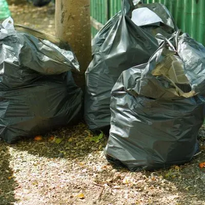 Small rubbish bags in Dunedin show consistent waste removal and manageable ongoing property upkeep.