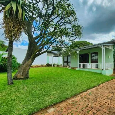 Well-maintained residential lawn in Dunedin illustrating soil protection and surface stability during tree removal work.