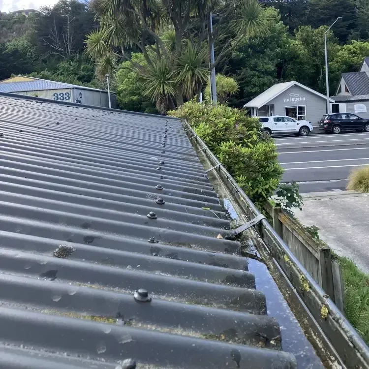 After: Clean roof spouting cleared of grass and debris after spouting cleaning, Bradford, Dunedin.