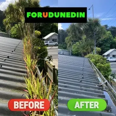 Before & After: Spouting cleaning showing grass and debris removed from the spouting, Bradford, Dunedin.